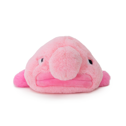 Side-eye Blobfish