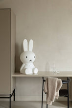 Load image into Gallery viewer, Miffy
