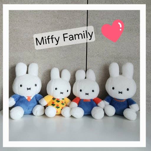Limited Family Dress up Family Miffy Plush Bag Keychains