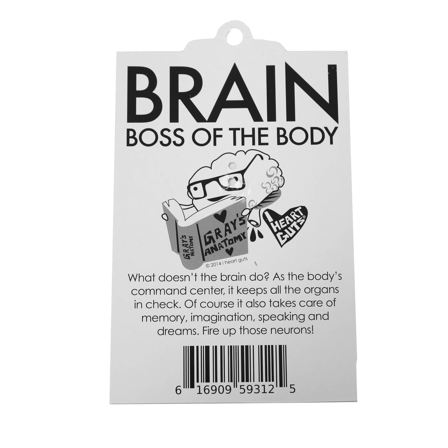 Brain Keychain - All You Need is Lobe