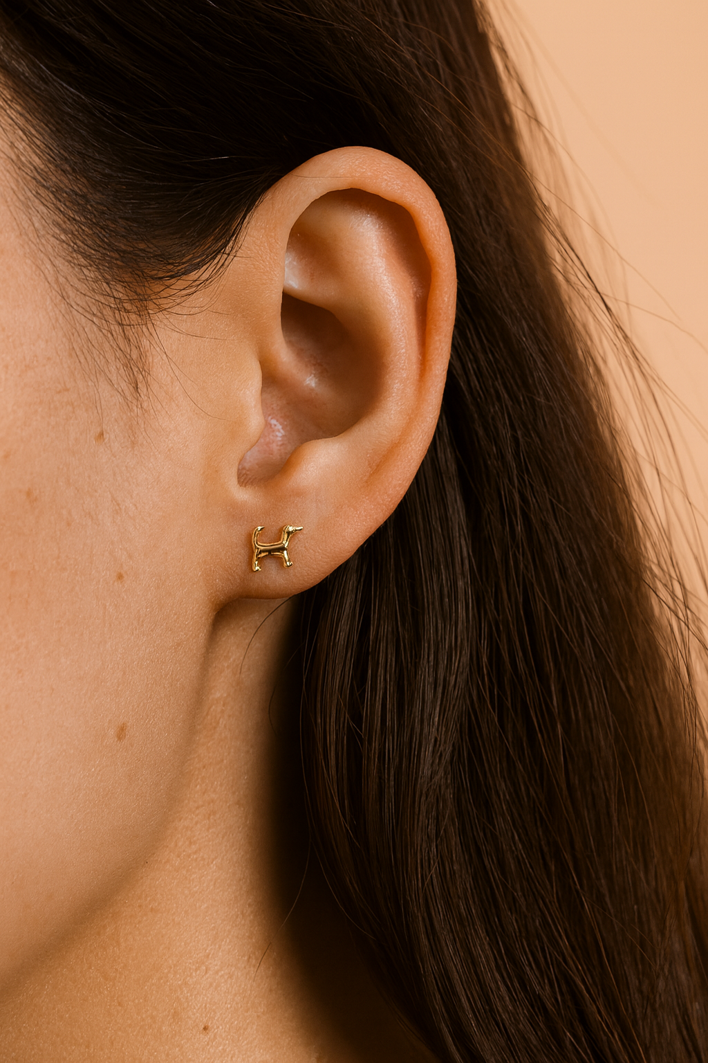Fortune Dog Studs - 18K Gold Plated