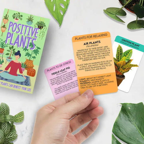 Positive Plants Card Pack - Front & Company: Gift Store