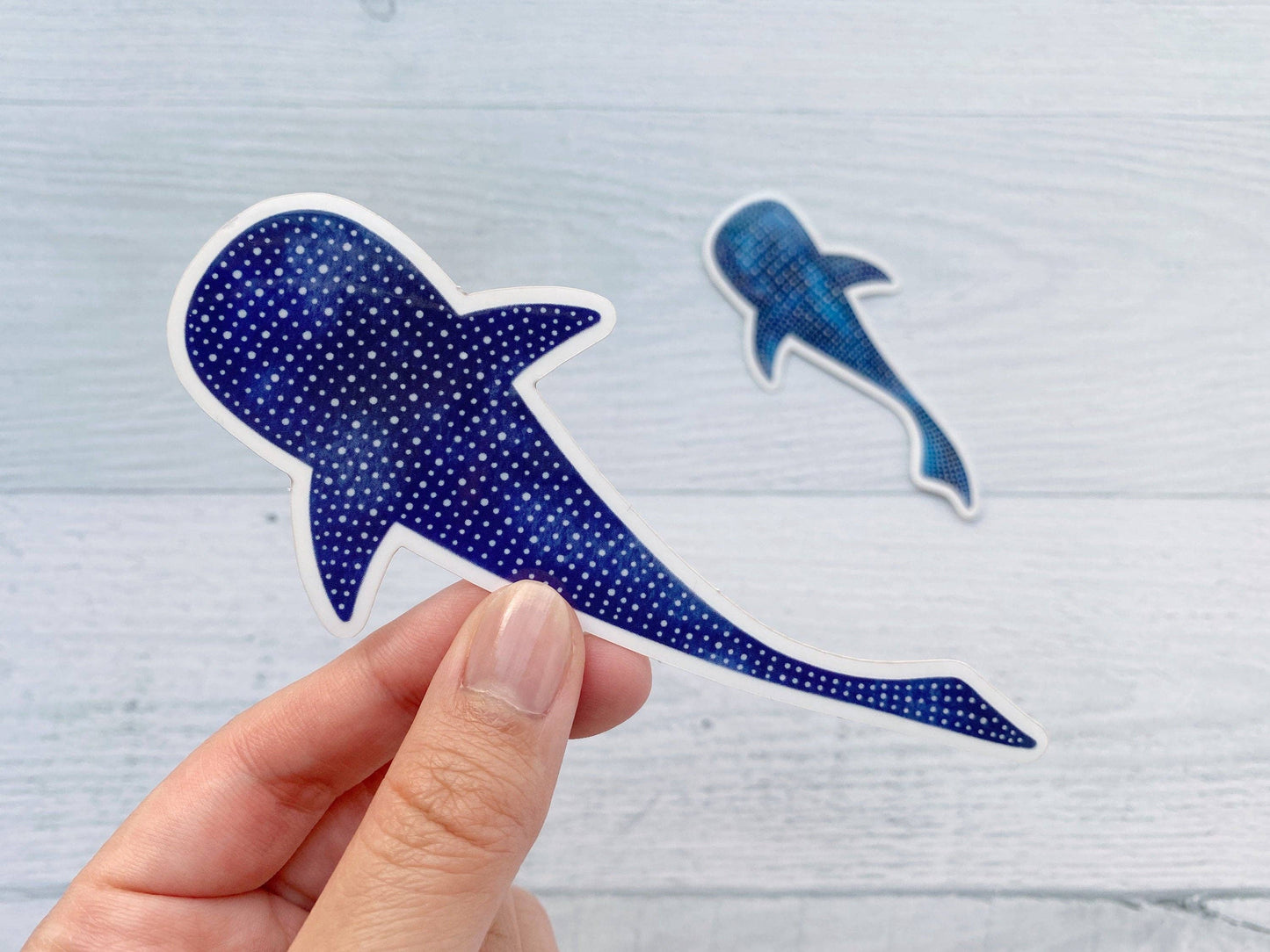 Whale Shark Vinyl Sticker