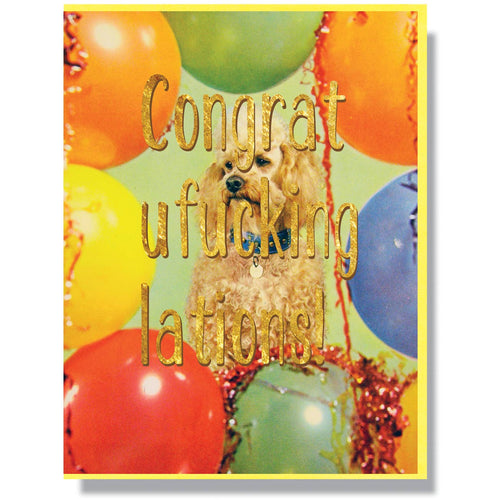 Congratufuckinglations! Card - Front & Company: Gift Store