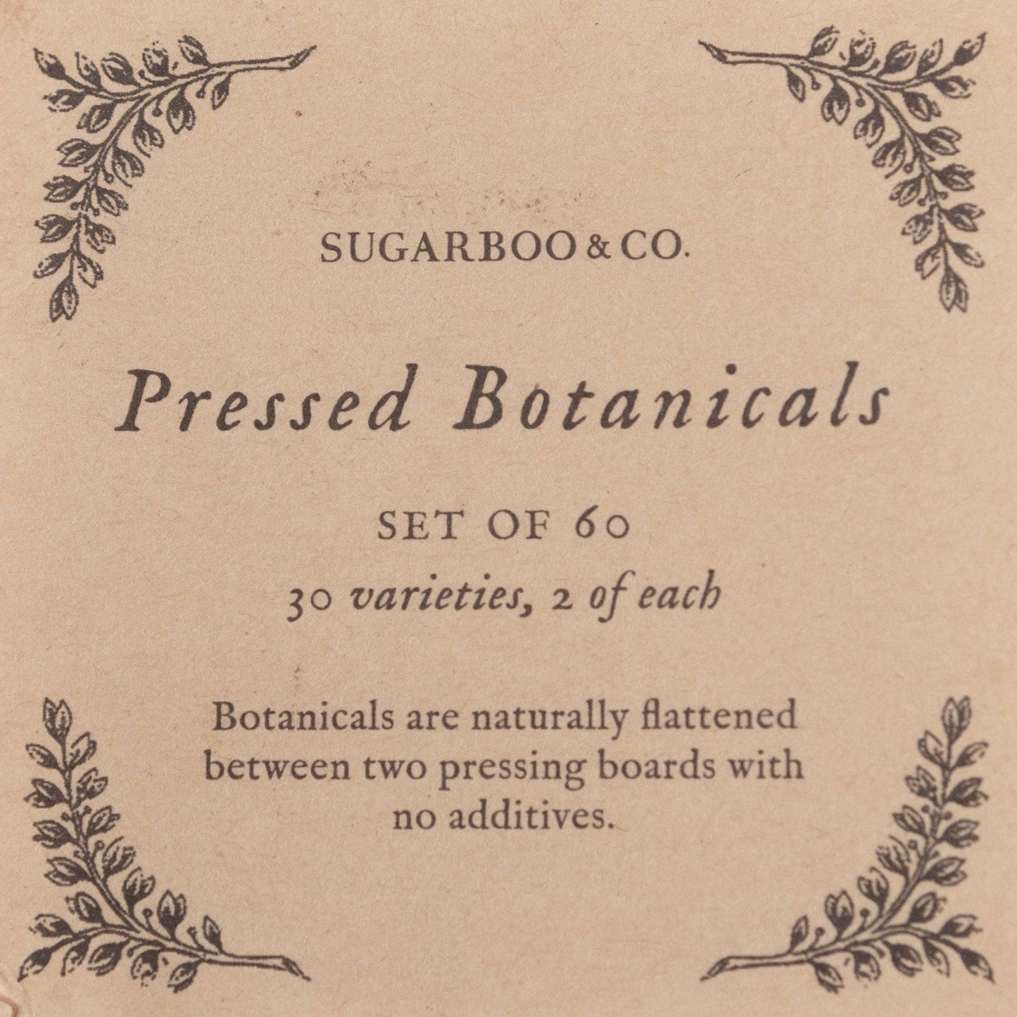 Pressed Botanical Collection - Assorted Set of 60