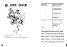 Load image into Gallery viewer, Everyday Herbal Teamaking: Health, Fun, and Self-Care Guide
