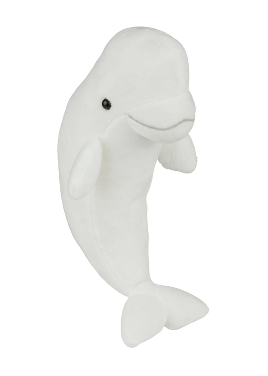 Beluga Whale