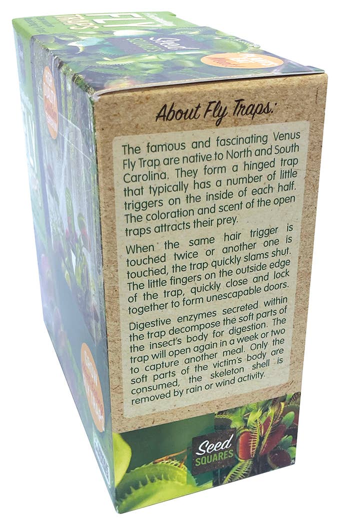 Fascinating Flytraps Seed Square Terrarium