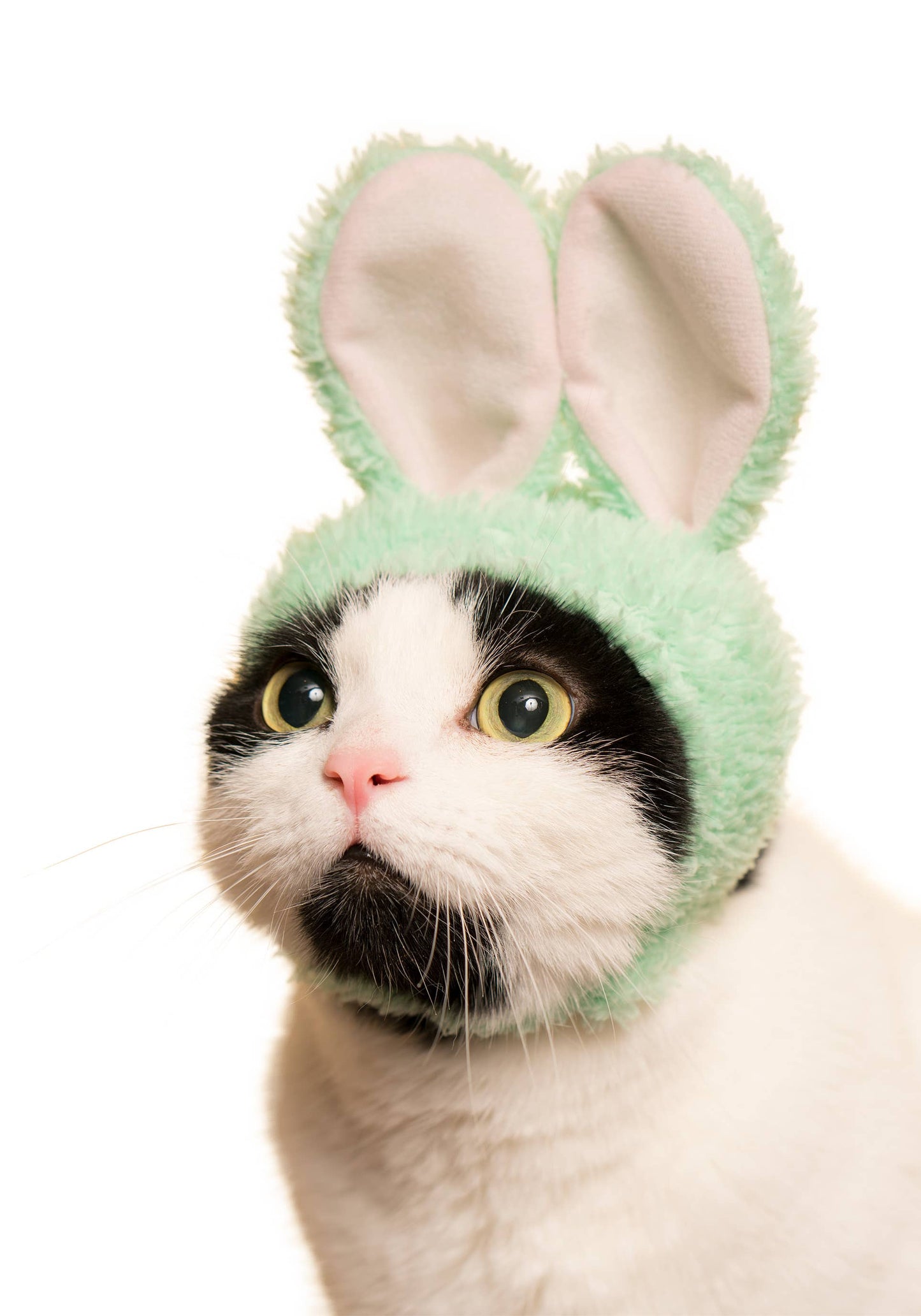 Kitan Club Cat Cap Blind Box - Rabbit