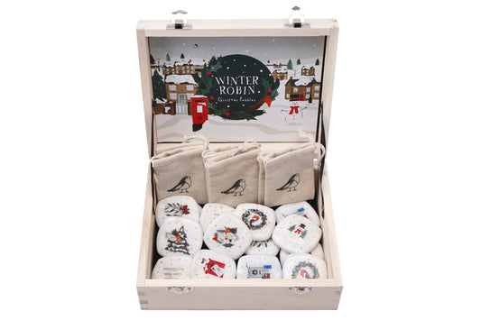 Winter Robin Christmas Sentiment Pebble