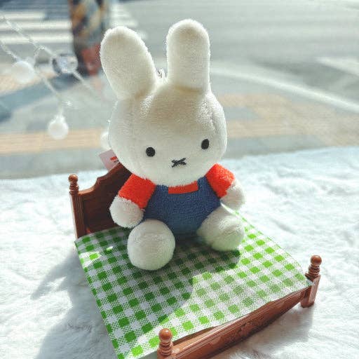 Limited Family Dress up Family Miffy Plush Bag Keychains