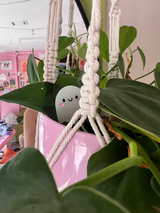Ghost Plant Pal
