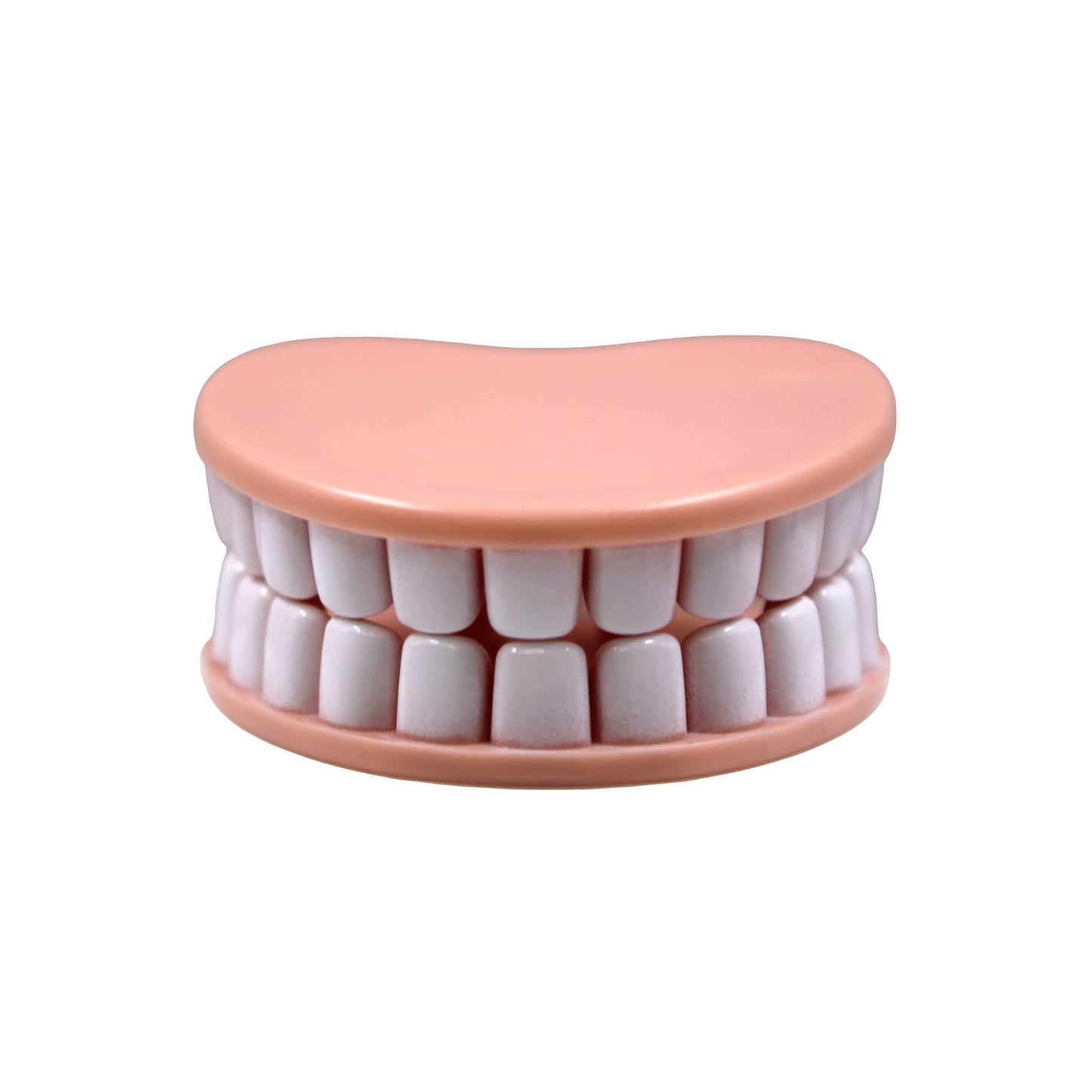Denture Bag Clips