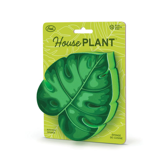 HOUSE PLANT sponge