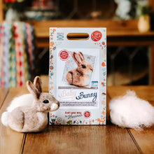 Load image into Gallery viewer, Baby Bunny Needle Felting Craft Kit
