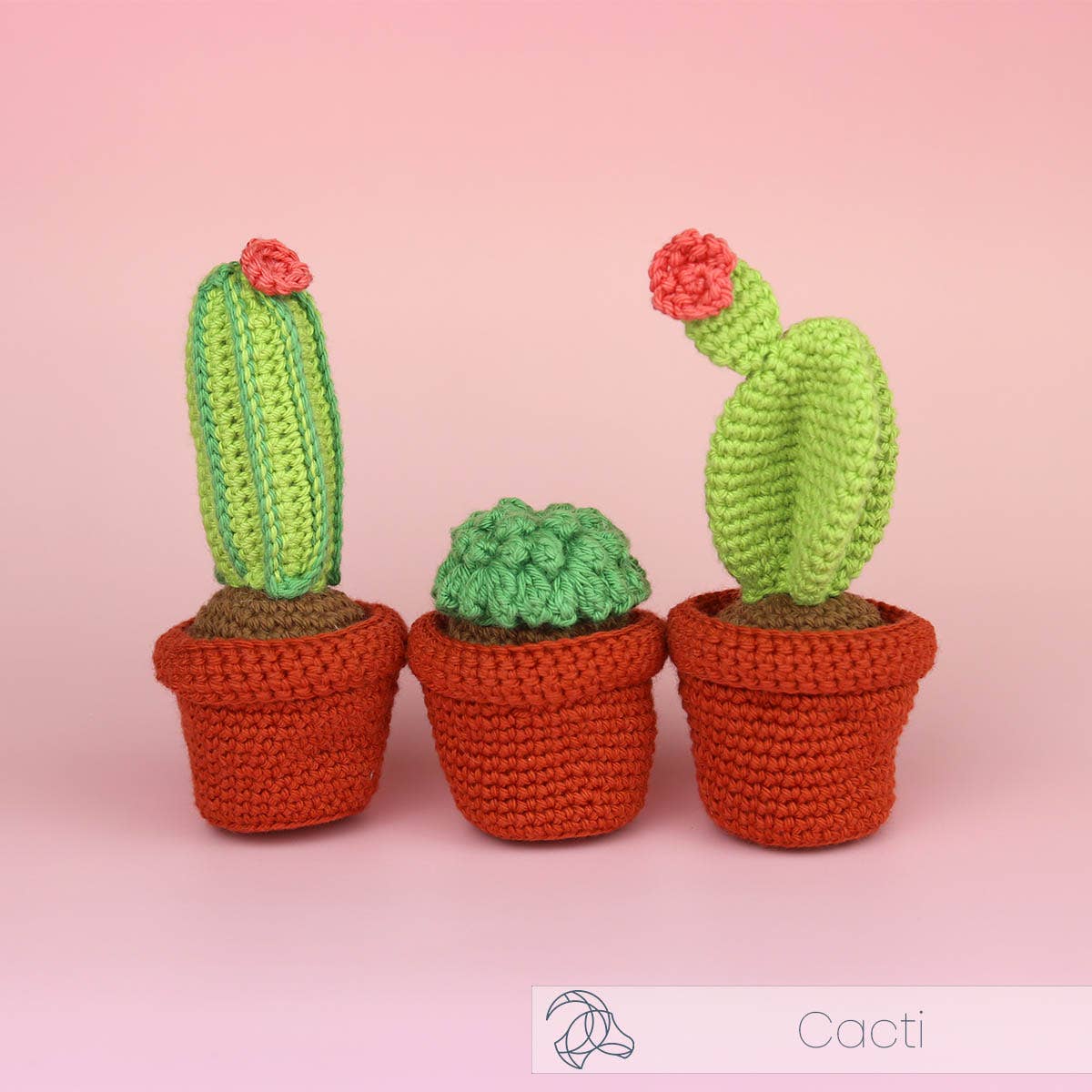 DIY Crochet Kit - Cacti