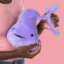 Load image into Gallery viewer, Gallbladder Plush - You&#39;ve Got Gall
