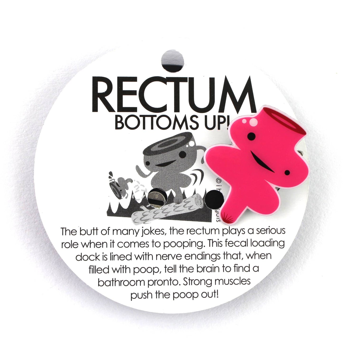 Rectum Lapel Pin - Bringing up the Rear