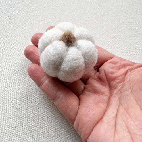 One White Felt Mini Pumpkin - Front & Company: Gift Store