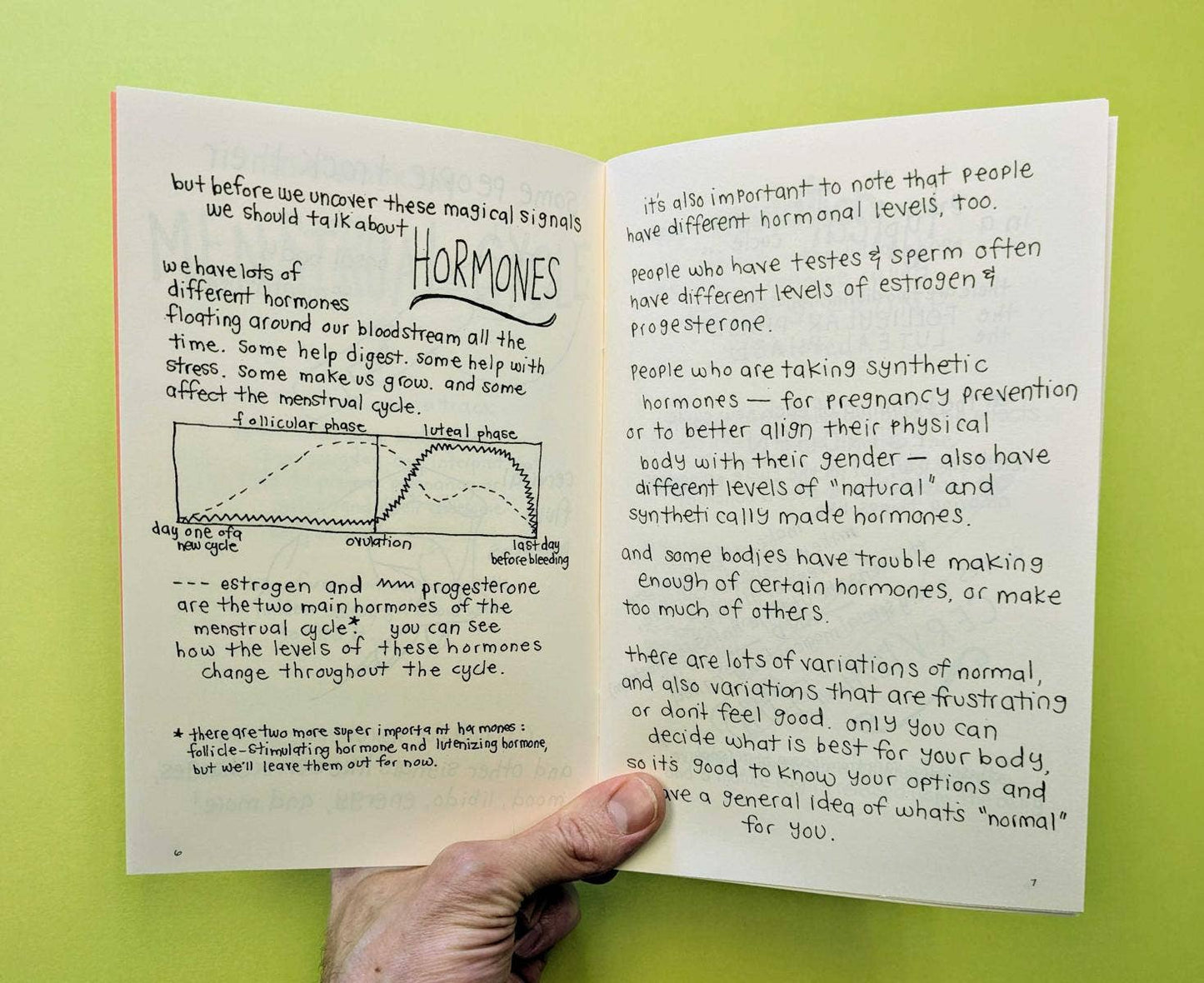 Let's Talk About Your Uterus (Zine)