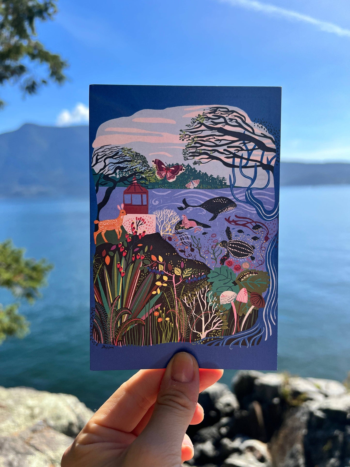 Coastal B.C. Postcard