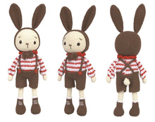 Load image into Gallery viewer, Knitty Critters - Hello buddies - Miti The Rabbit
