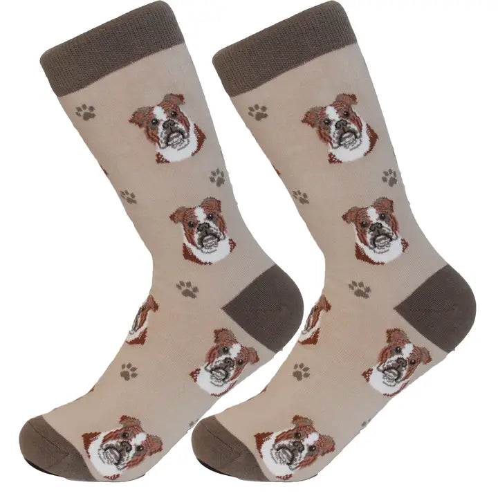 Bulldog Socks