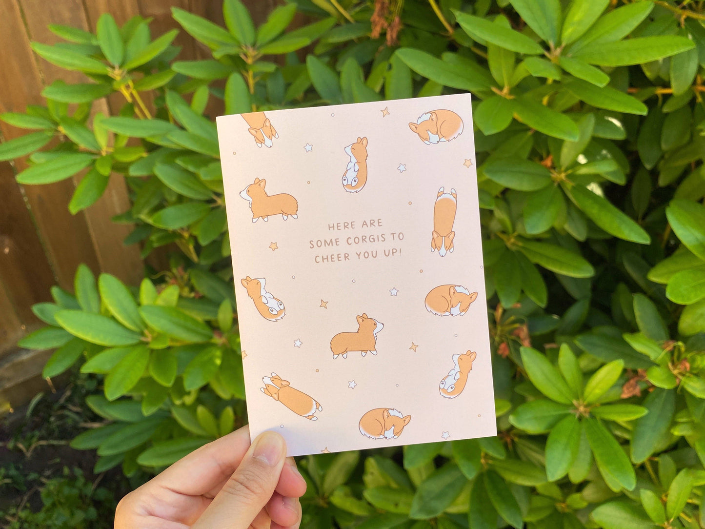 Cute Corgis to Cheer You Up Greeting Card