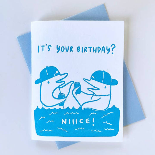 Dolphin Bro Birthday