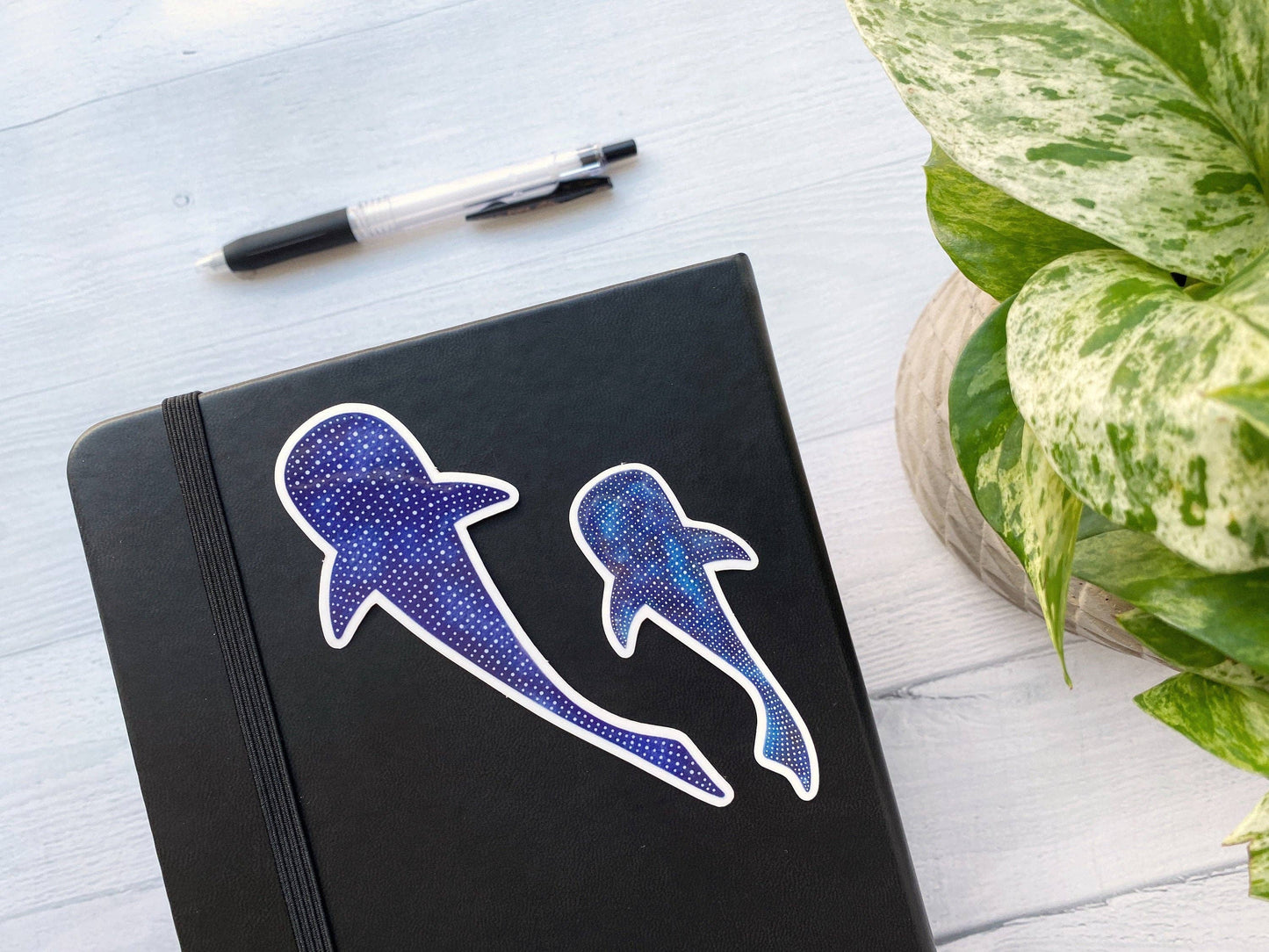 Whale Shark Vinyl Sticker