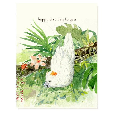 Moluccan Cockatoo Occasion Card with matching envelope