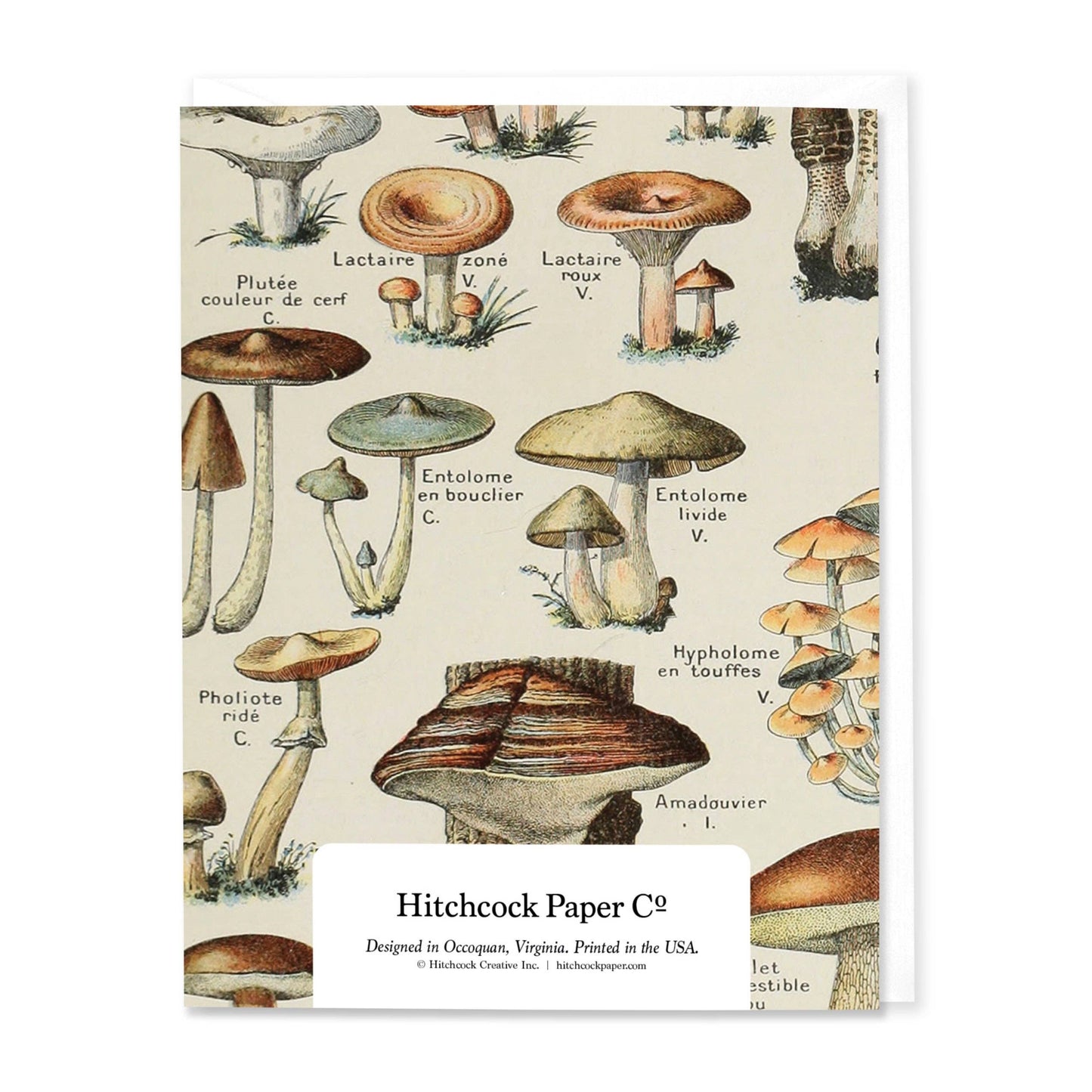 Most Fungi I Know Birthday Card
