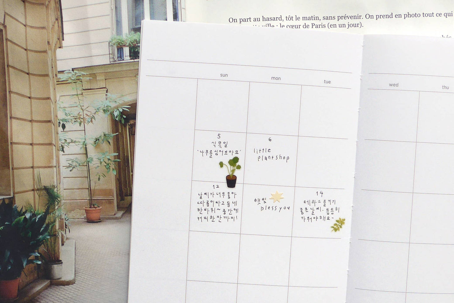 Little plant shop