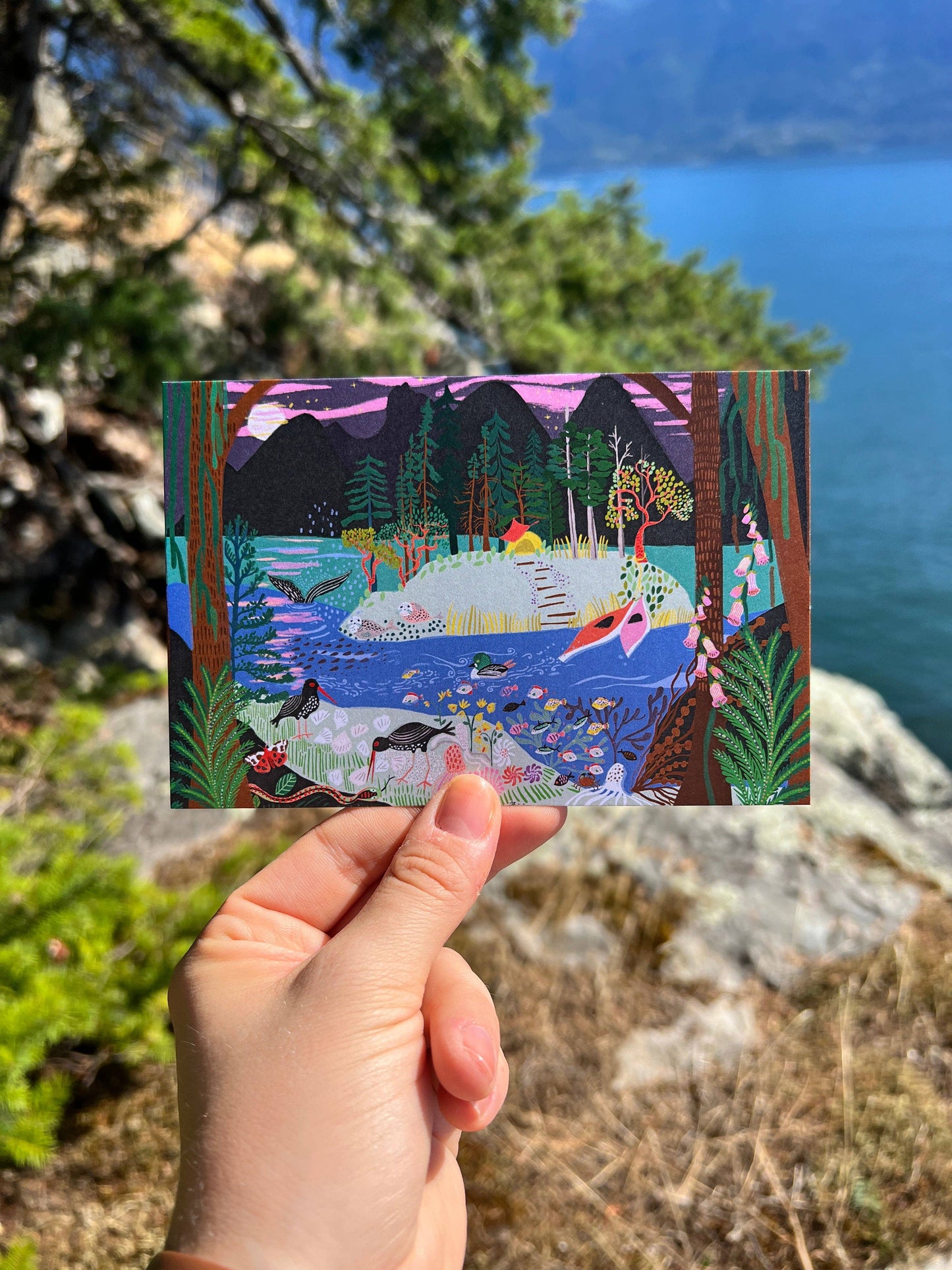 Coastal B.C. Postcard