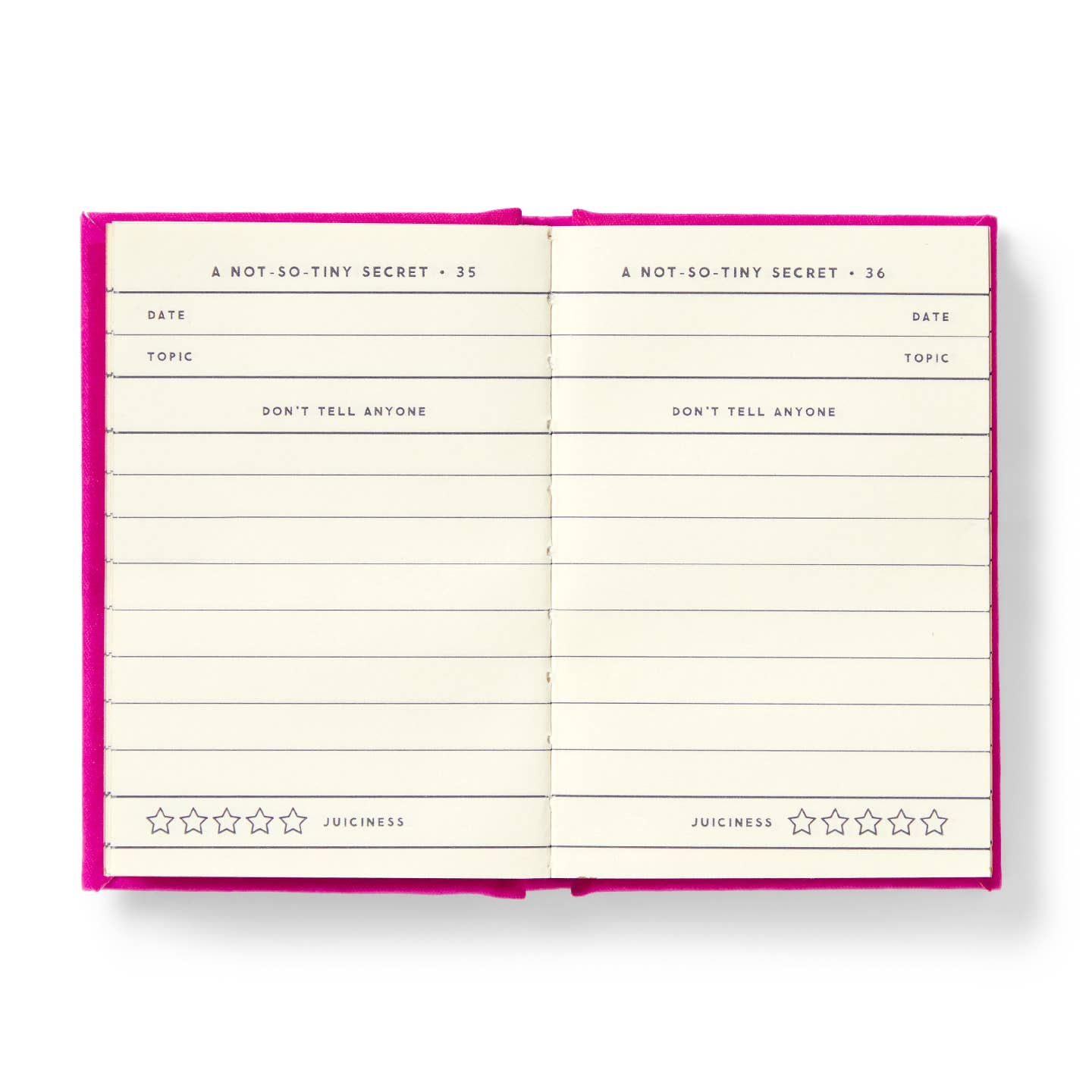Tiny Diary for Not So Tiny Secrets