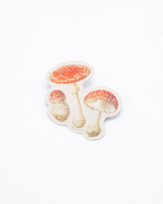 Fly Agaric Poisonous Mushrooms