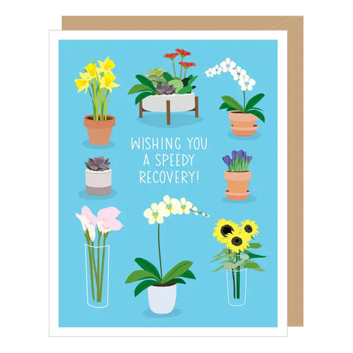 Potted Flowers Get Well Card - Front & Company: Gift Store