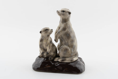 Meerkat Salt & Pepper Shaker - Front & Company: Gift Store