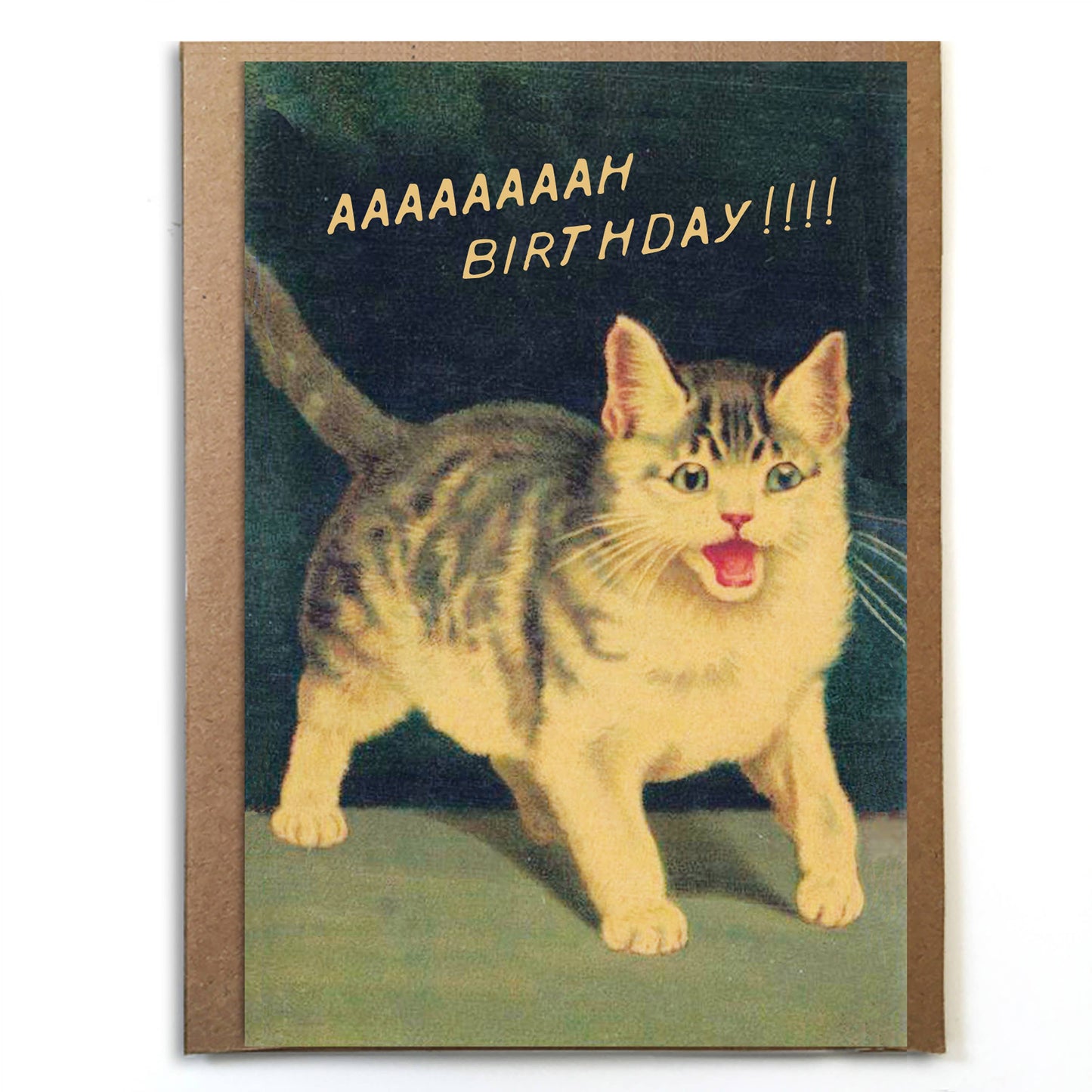 Cat Birthday Aaaaaaaaah! Funny Birthday Card; Vintage Cats