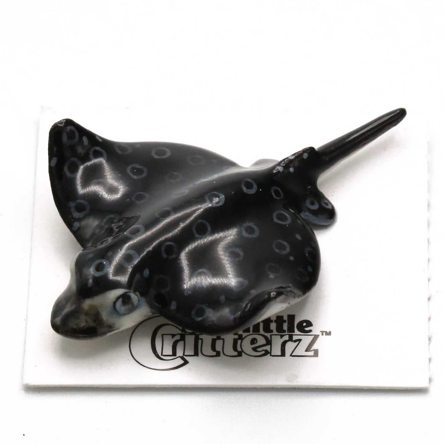 Snout Spotted Eagle Ray Porcelain Miniature