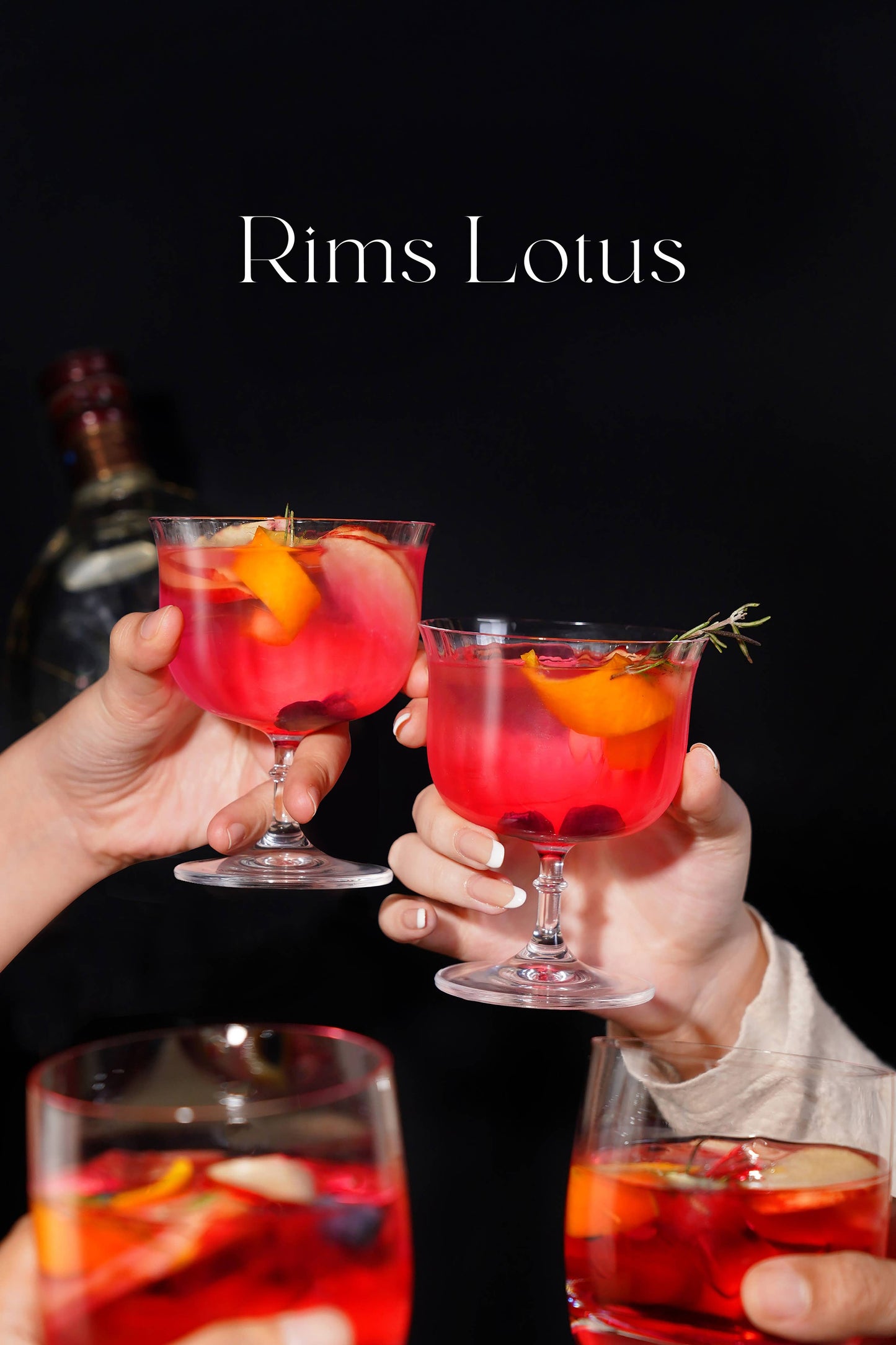 Rims Orient-Coupe Martini & Wine Glass (12oz) (1pc)