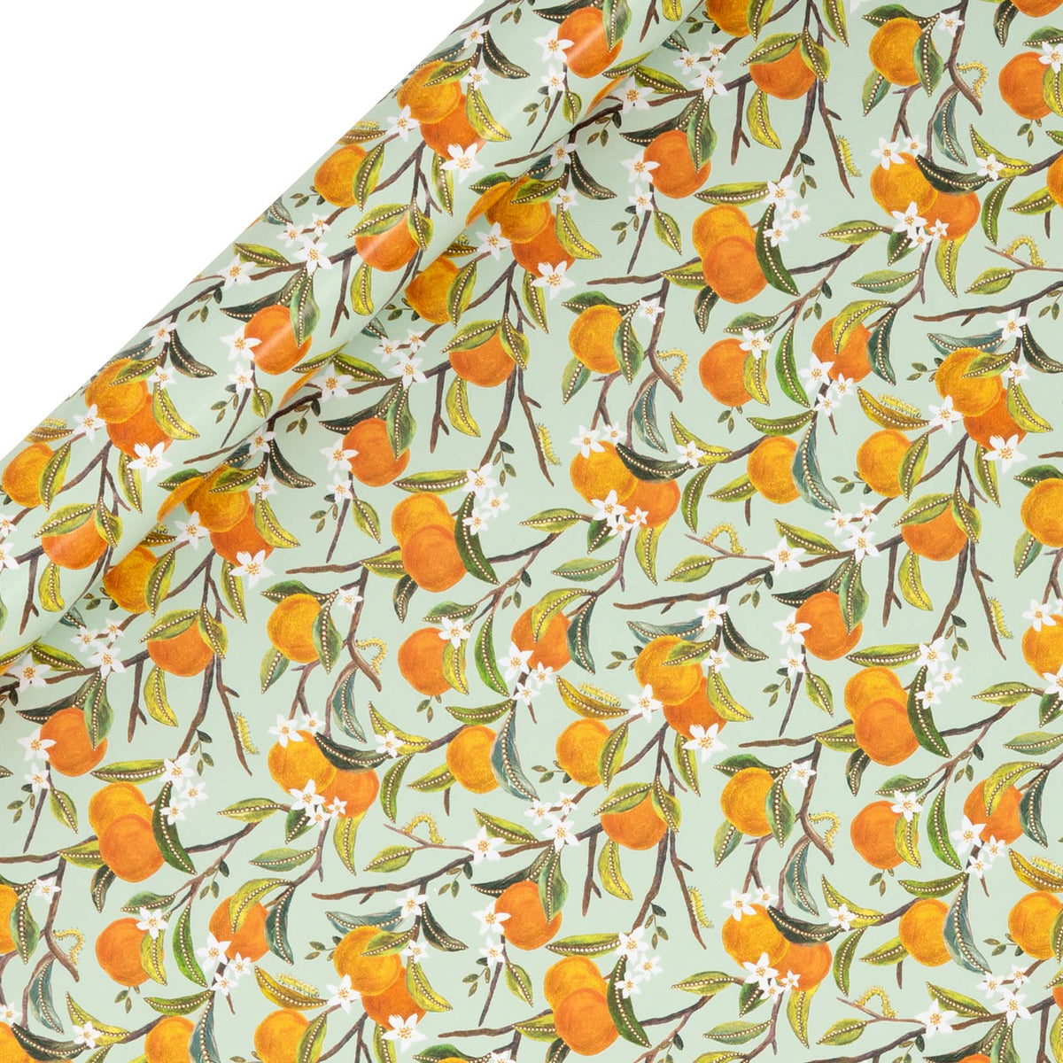 Blossom Tales - 4m Roll Wrap Collection