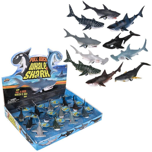 5"  Whale And Shark Assortment