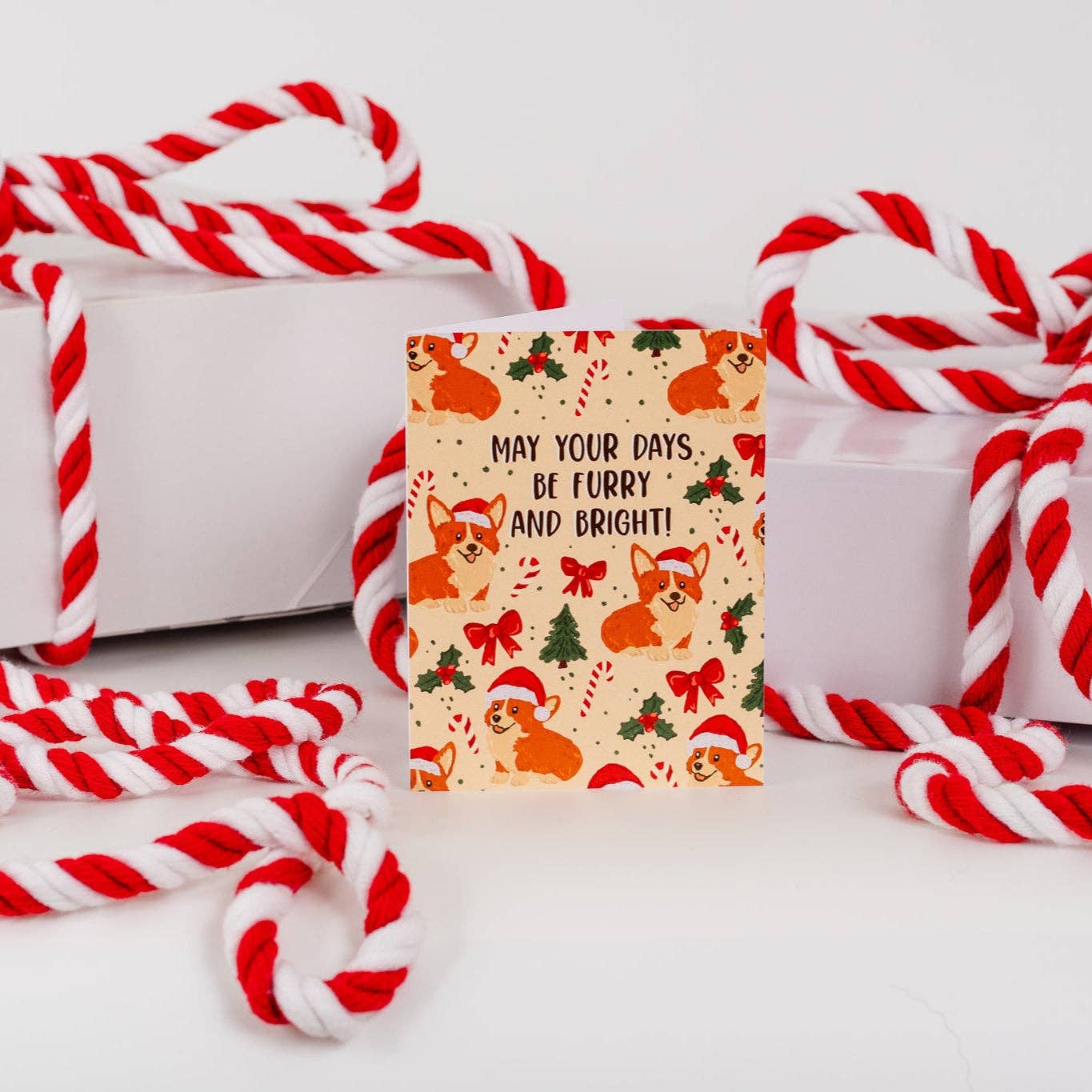 May Your Days Be Furry And Bright! - Greeting Card