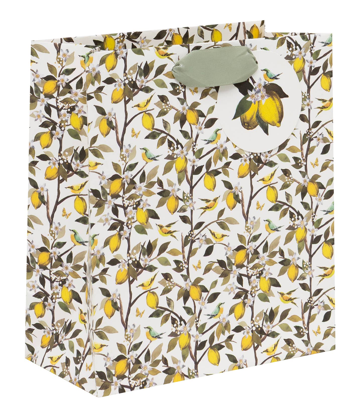 Bag Medium Fruit Orchard