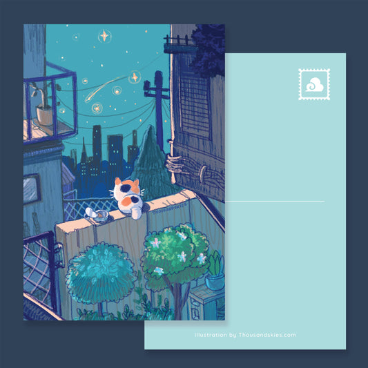 Postcard Midnight Kitten