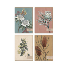 Load image into Gallery viewer, Boxed Card Set - Flora Portrait 1
