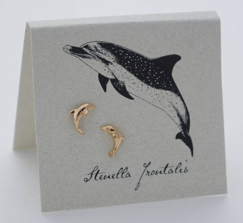 Dolphin Stud Earrings - gold Natural History - Front & Company: Gift Store