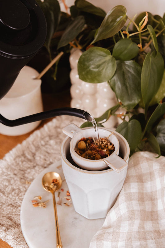 The Infusion Nest Ceramic Tea Strainer