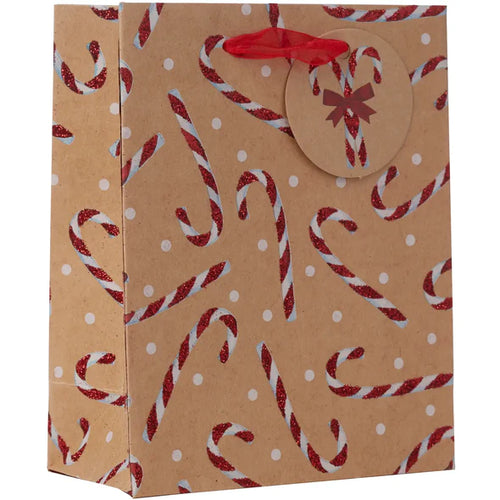 Candy Cane Gift Bag | Small - Front & Company: Gift Store